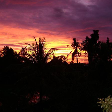 Kun - Kun Guest House Ubud Zewnętrze zdjęcie