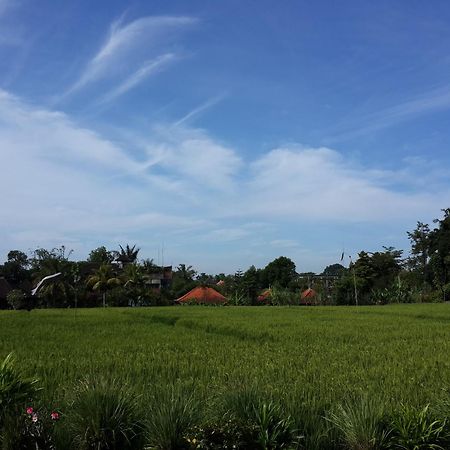 Kun - Kun Guest House Ubud Zewnętrze zdjęcie