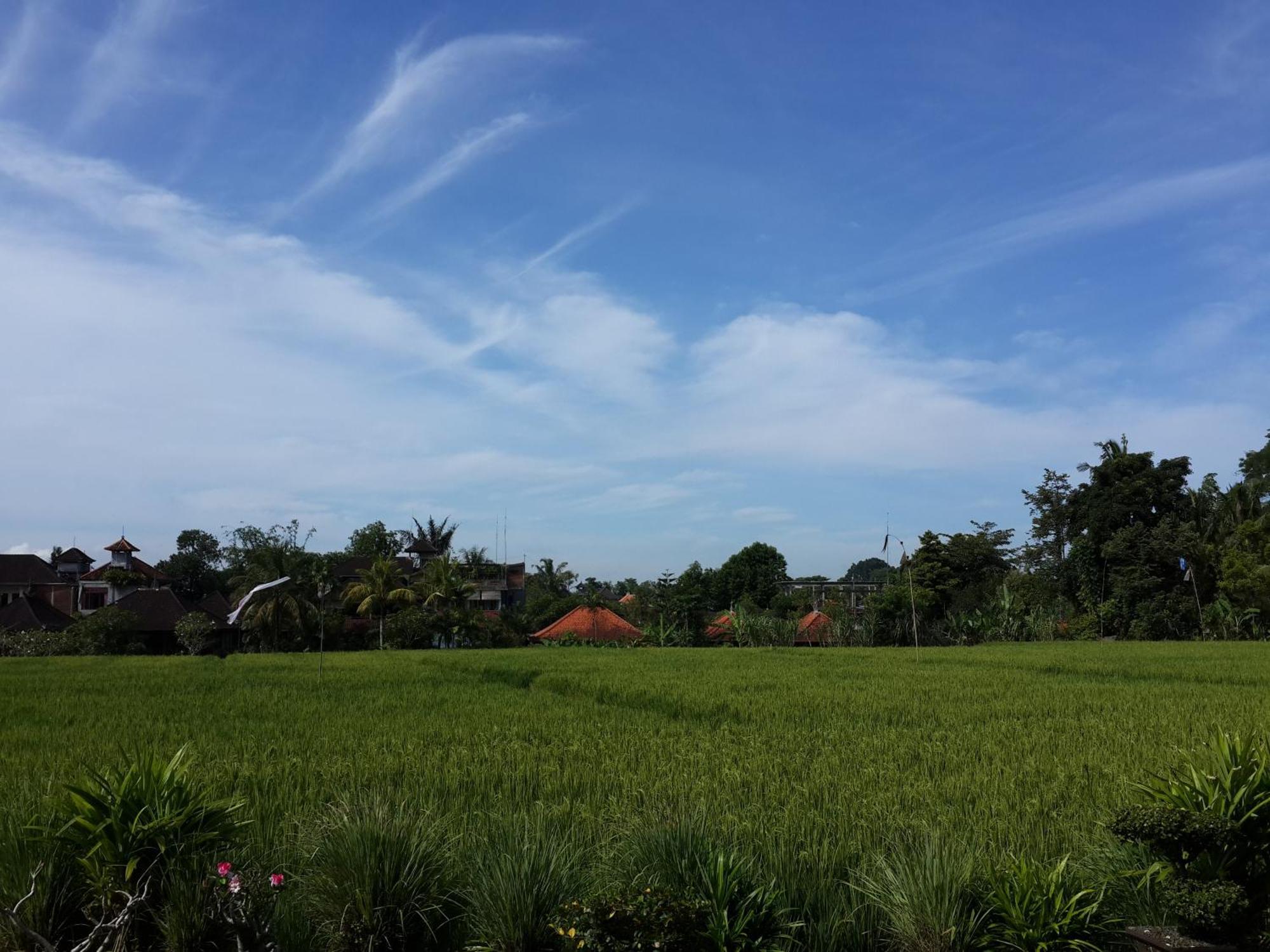 Kun - Kun Guest House Ubud Zewnętrze zdjęcie